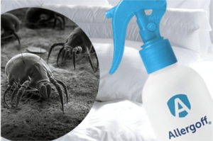 zabieg przeciwalergiczny Allergoff, pranie tapicerki warszawa, pranie tapicerki cena